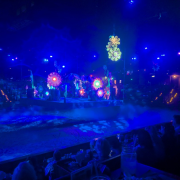 Dolly Parton's Stampede Dinner Attraction photo submitted by Howie Letendre
