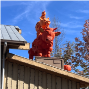 Silver Dollar City photo submitted by Jennifer Taylor