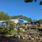 Ripley's Aquarium of the Smokies photo submitted by Samantha Forrester