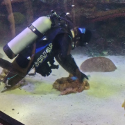 Aquarium at the Boardwalk photo submitted by PAVEL FEYGIN
