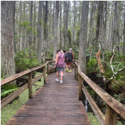 Gatorland photo submitted by Jennifer Mays