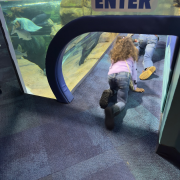 Ripley's Aquarium of Myrtle Beach photo submitted by Tia Legette