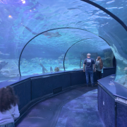 Ripley's Aquarium of Myrtle Beach photo submitted by Tia Legette