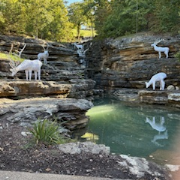 Top of the Rock Golf Cart Tour & Museum photo submitted by Tracy Cruse