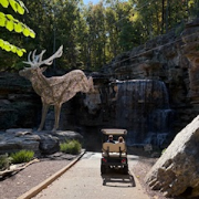Top of the Rock Golf Cart Tour & Museum photo submitted by Tracy Cruse