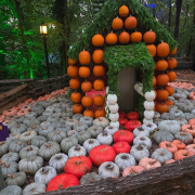 Silver Dollar City photo submitted by Michelle Crain