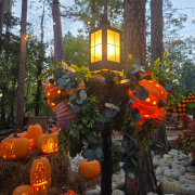 Silver Dollar City photo submitted by Michelle Crain