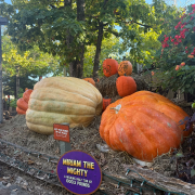 Silver Dollar City photo submitted by Michelle Crain