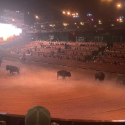 Dolly Parton's Stampede Dinner Attraction photo submitted by Nicole Stewart