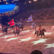 Dolly Parton's Stampede Dinner Attraction photo submitted by Nicole Stewart