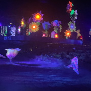 Dolly Parton's Stampede Dinner Attraction photo submitted by Nicole Stewart