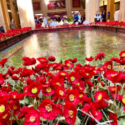 The Wizard of Oz at Sphere  photo submitted by Annette Ford