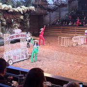 Dolly Parton's Stampede Dinner Attraction photo submitted by Edward Algreen