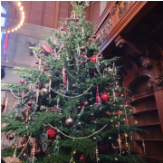 Biltmore Estate photo submitted by Janet  MacKenzie 