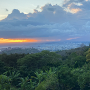 Experience Nutridge Luau photo submitted by Diane Bickerstaff