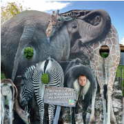 Zoo Miami photo submitted by Evgeniia Postnova