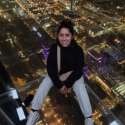 Skydeck Chicago photo submitted by Al Federavicius