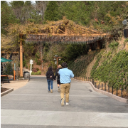 Dollywood photo submitted by Rick  L Davis