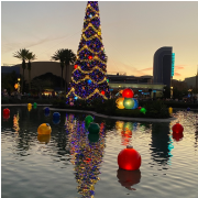 Disney World® Theme Parks photo submitted by Kymberly Eckelmann