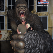 Pirates Voyage Dinner & Show photo submitted by Aletha Croy