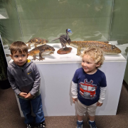 Branson's Dinosaur Museum photo submitted by Lynette Amann