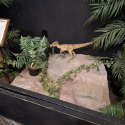 Branson's Dinosaur Museum photo submitted by Lynette Amann