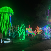 Phoenix Zoo photo submitted by Janet Roberts