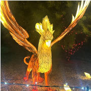 Phoenix Zoo photo submitted by Janet Roberts