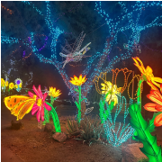 Phoenix Zoo photo submitted by Janet Roberts