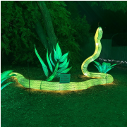 Phoenix Zoo photo submitted by Janet Roberts