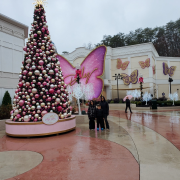 Dollywood photo submitted by DANIEL STEVENS