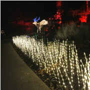 Top of the Rock Golf Cart Tour & Museum photo submitted by Nancy Deedrick