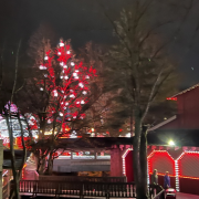 Dollywood photo submitted by Eric Randall