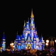 Disney World® Theme Parks photo submitted by Mark Michelsen