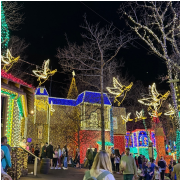 Silver Dollar City photo submitted by Gwendolyn Holloway