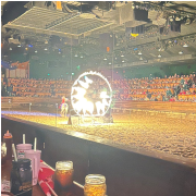 Dolly Parton's Stampede Dinner Attraction photo submitted by Joyce Wray