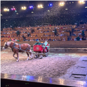 Dolly Parton's Stampede Dinner Attraction photo submitted by Joyce Wray