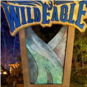 Dollywood photo submitted by Ramon Torres