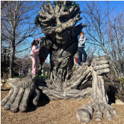 Anakeesta photo submitted by Don Autrey