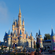 Disney World® Theme Parks photo submitted by Renee Vandenwallbake