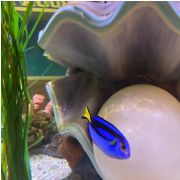 Aquarium at the Boardwalk photo submitted by Saleena Emory