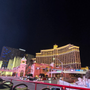 Big Bus Sightseeing Tours Las Vegas photo submitted by Apoorv Aditya