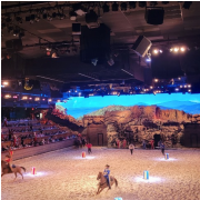 Dolly Parton's Stampede Dinner Attraction photo submitted by Shannon Magill