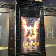 Harry Potter and the Cursed Child photo submitted by Theresa Donati