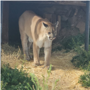 Out of Africa Wildlife Park photo submitted by Cassandra Vetter