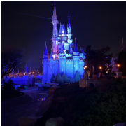 Walt Disney World® Resort photo submitted by Rebecca Gregoire