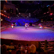 Dolly Parton's Stampede Dinner Attraction photo submitted by Scott Chandler