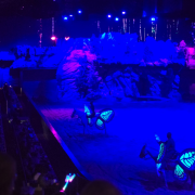 Dolly Parton's Stampede Dinner Attraction photo submitted by Kerry Herron