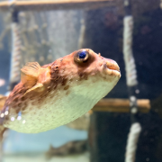 The Florida Aquarium photo submitted by Phillip Barker