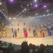 Medieval Times Dinner and Tournament Dallas photo submitted by Elida Ballesteros